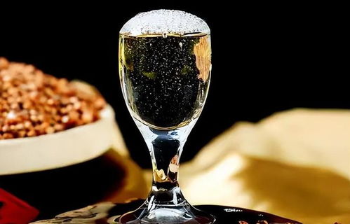 低價(jià)淘好酒有門道 避開即飲型，記住三要點(diǎn)，便宜也能喝到好滋味